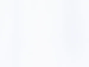 POWDER von Sahco- [0015]