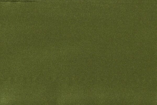 ALIAS Fischbacher 1819 - Olivgrün [124]