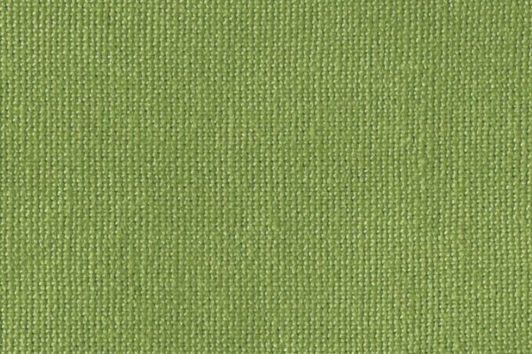 CASALINO Fischbacher 1819 Stoffmuster - Grün [514]