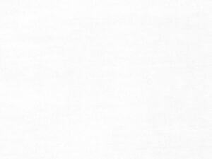 VALERY Fischbacher 1819 - Weiss [100]