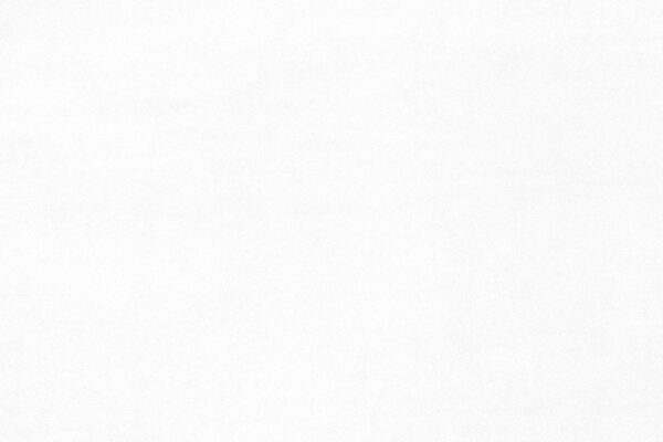 VALERY Fischbacher 1819 - Weiss [100]