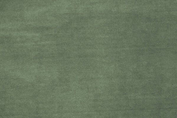 VALERY Fischbacher 1819 - Schilfgrün [104]