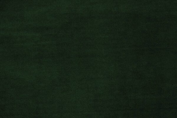 VALERY Fischbacher 1819 - Moosgrün [144]