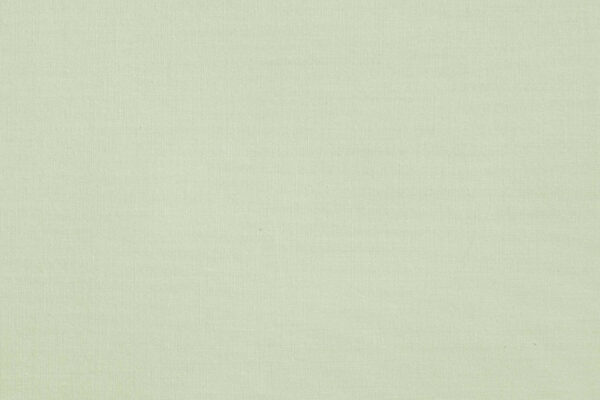 PURIS - Blassgrün [104]