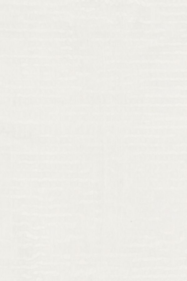 BACK UP [0001] Weiss