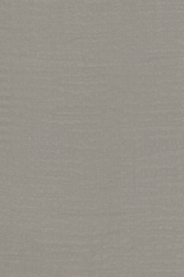 BACK UP [0016] Braun-Grau