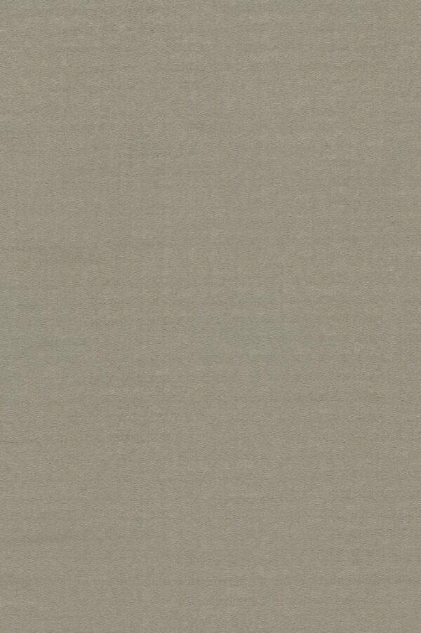 BACK UP [0024] Khaki-Grau