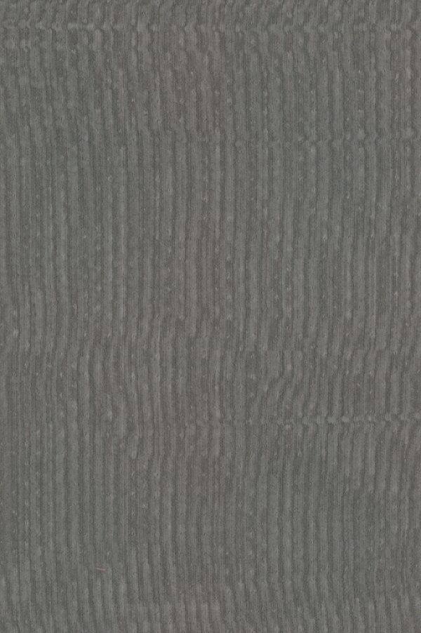 BACK UP [0026] Anthrazit