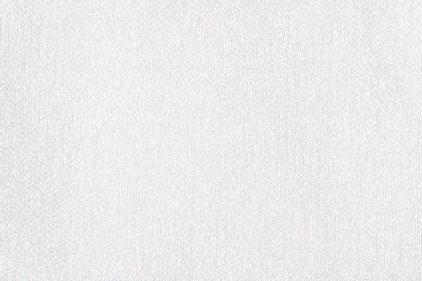 GLANZ feiner Tagesvorhang Fischbacher Ecruweiss [307]