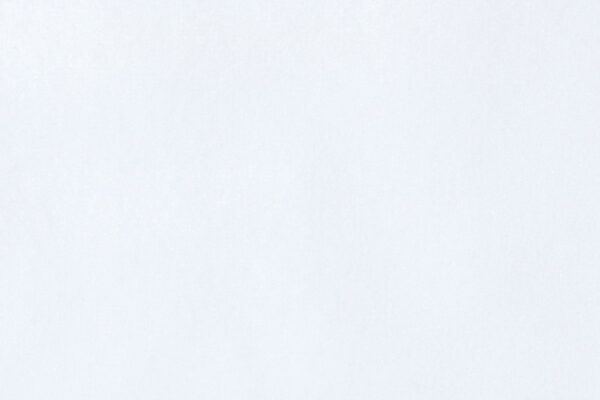 VELATO II feiner Tagesvorhang von Fischbacher 1819 Weiss [400]