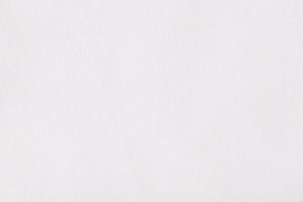 VELATO II feiner Tagesvorhang von Fischbacher 1819 Ecruweiss [407]