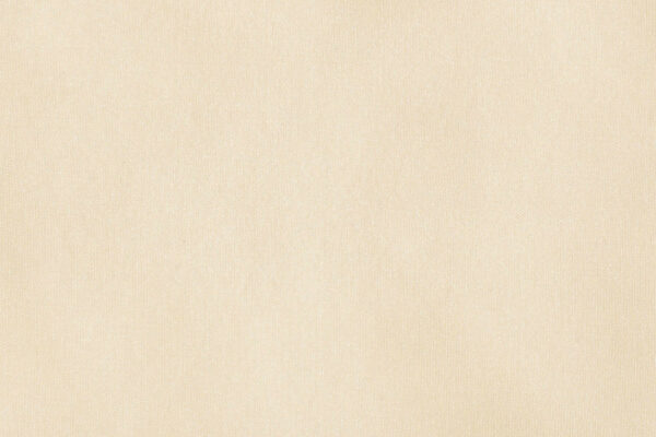 VELATO II feiner Tagesvorhang von Fischbacher 1819 Vanille pastell [413]