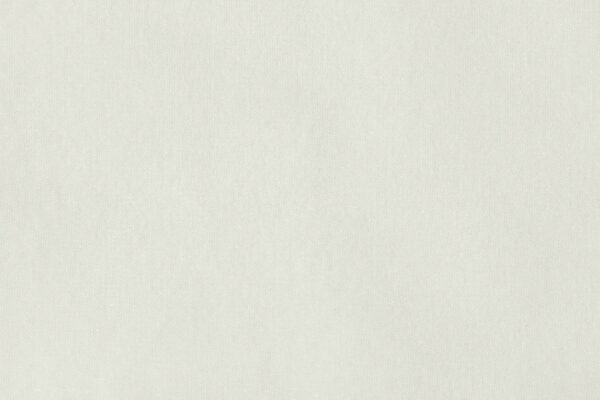 VELATO II feiner Tagesvorhang von Fischbacher 1819 Pastellgrün [414]