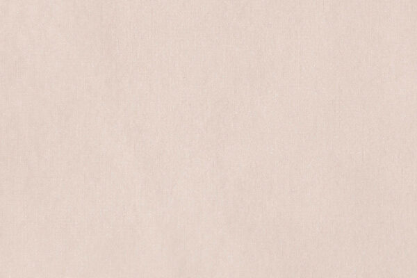 VELATO II feiner Tagesvorhang von Fischbacher 1819 Hellbraun pastell [417]