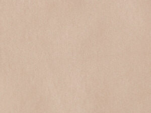 VELATO II feiner Tagesvorhang von Fischbacher 1819 Pastellbraun [427]