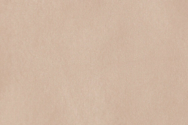 VELATO II feiner Tagesvorhang von Fischbacher 1819 Pastellbraun [427]